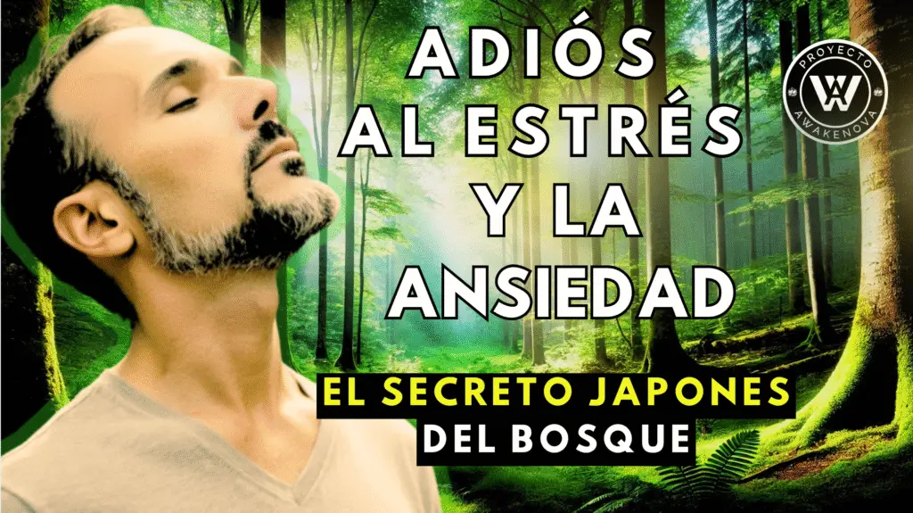 Hombre en el bosque practicando baño de bosque japonés para reducir el estrés y la ansiedad – Proyecto Awakenova